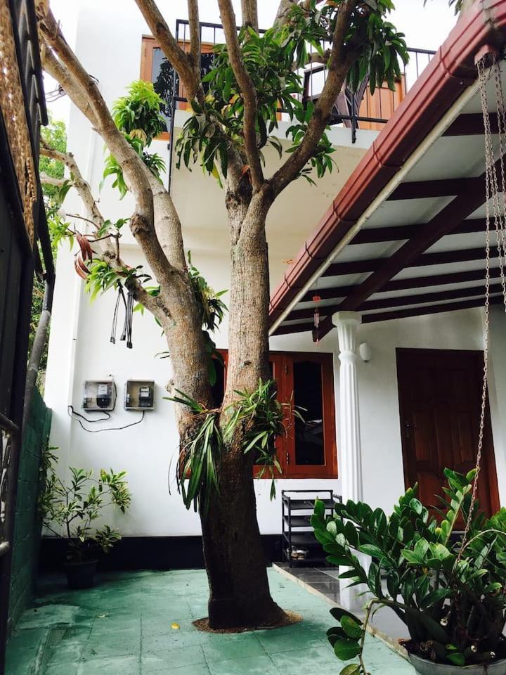 House Of Seya Bed & Breakfast Negombo Eksteriør bilde