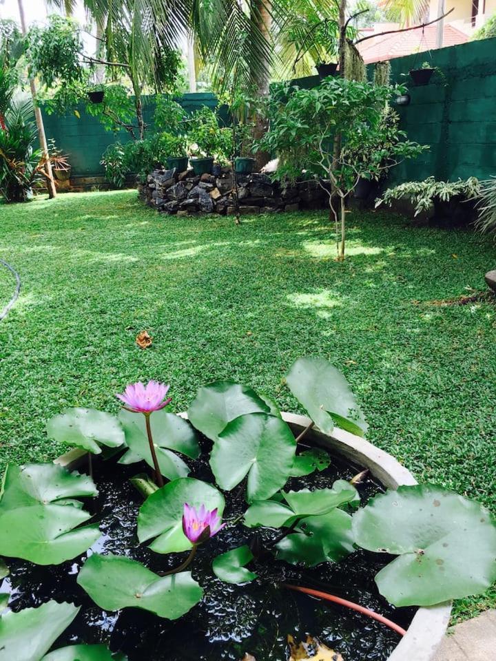 House Of Seya Bed & Breakfast Negombo Eksteriør bilde