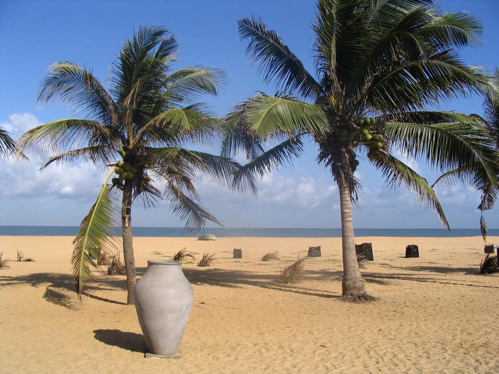 House Of Seya Bed & Breakfast Negombo Eksteriør bilde