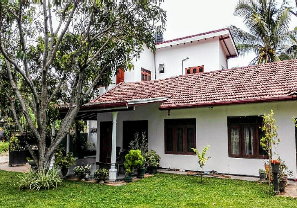 House Of Seya Bed & Breakfast Negombo Eksteriør bilde