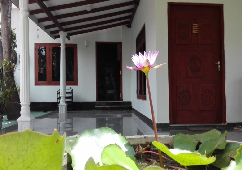 House Of Seya Bed & Breakfast Negombo Eksteriør bilde