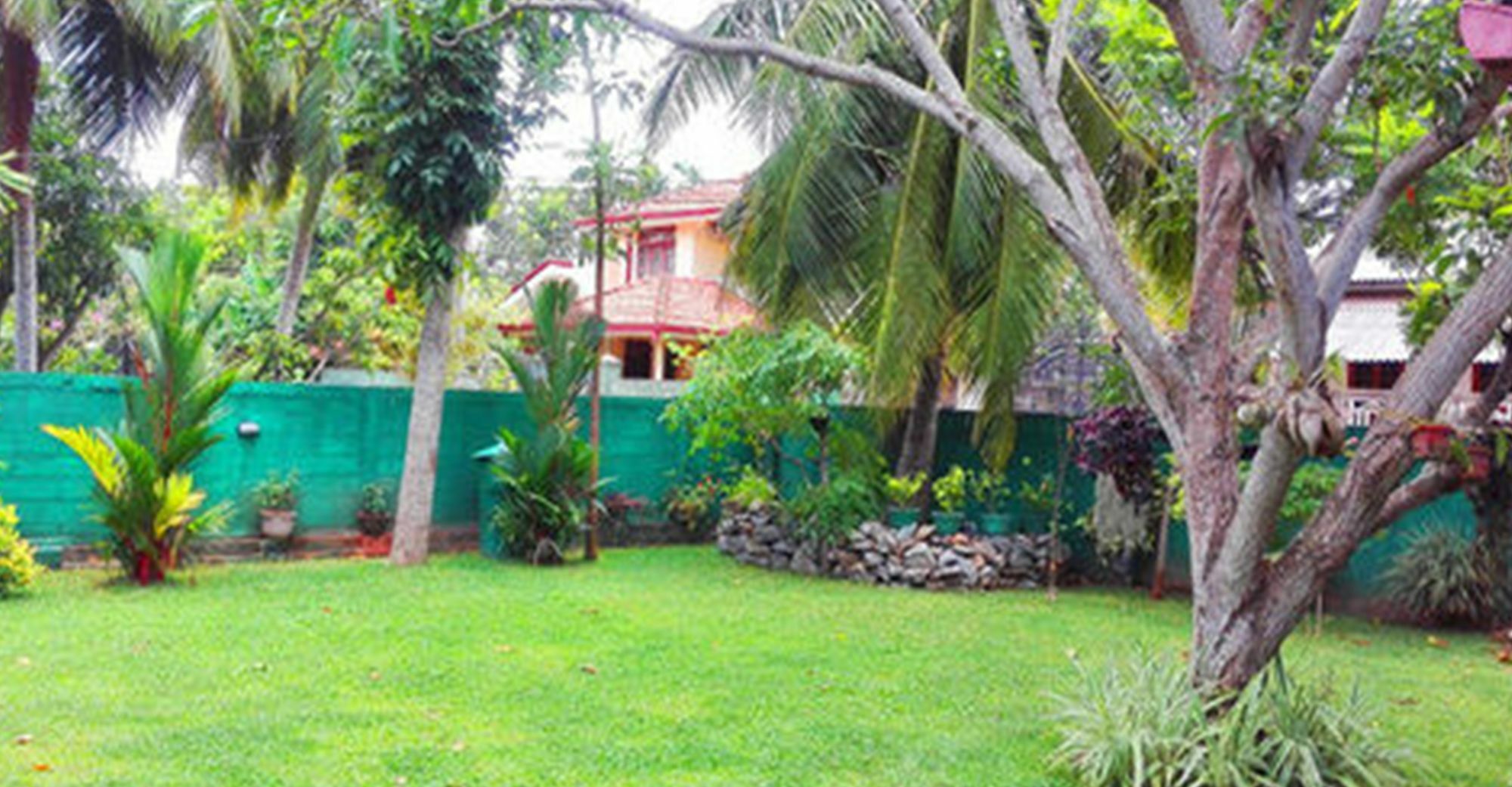 House Of Seya Bed & Breakfast Negombo Eksteriør bilde
